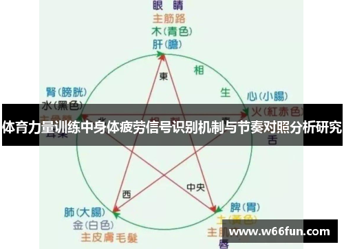 体育力量训练中身体疲劳信号识别机制与节奏对照分析研究